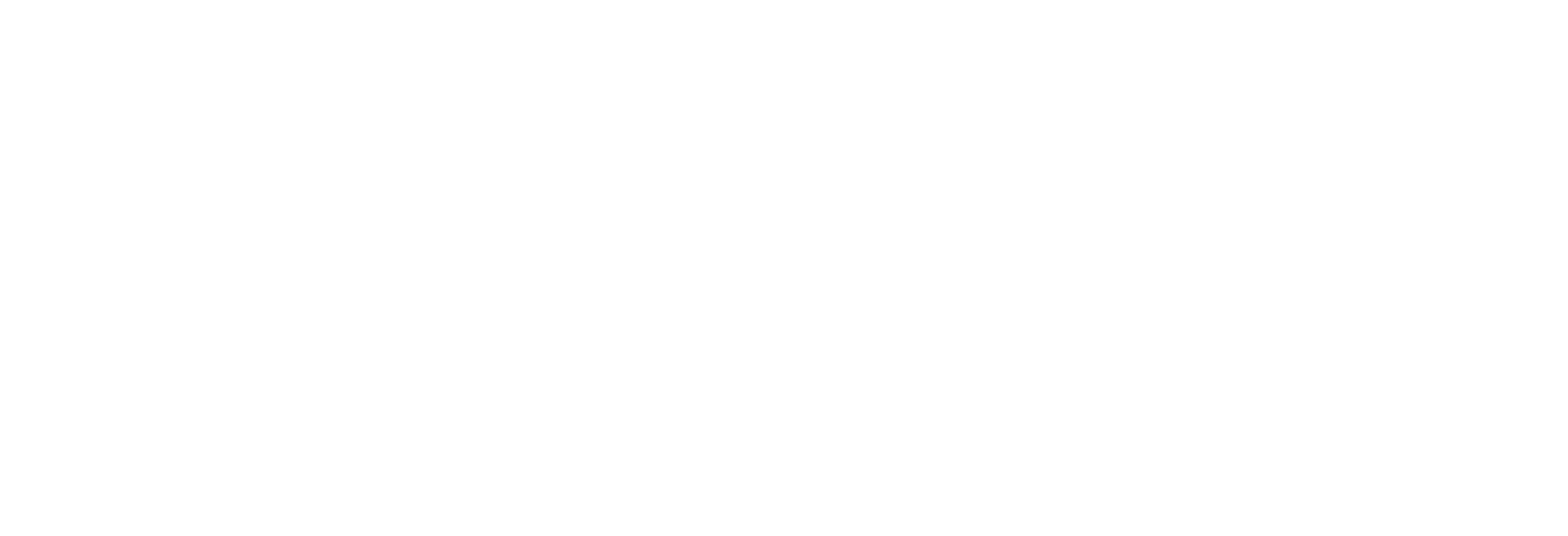 logo WhiteClean